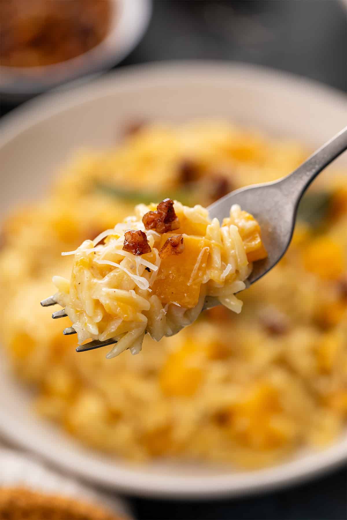 A forkful of butternut squash orzo with Parmesan and candied pecans.