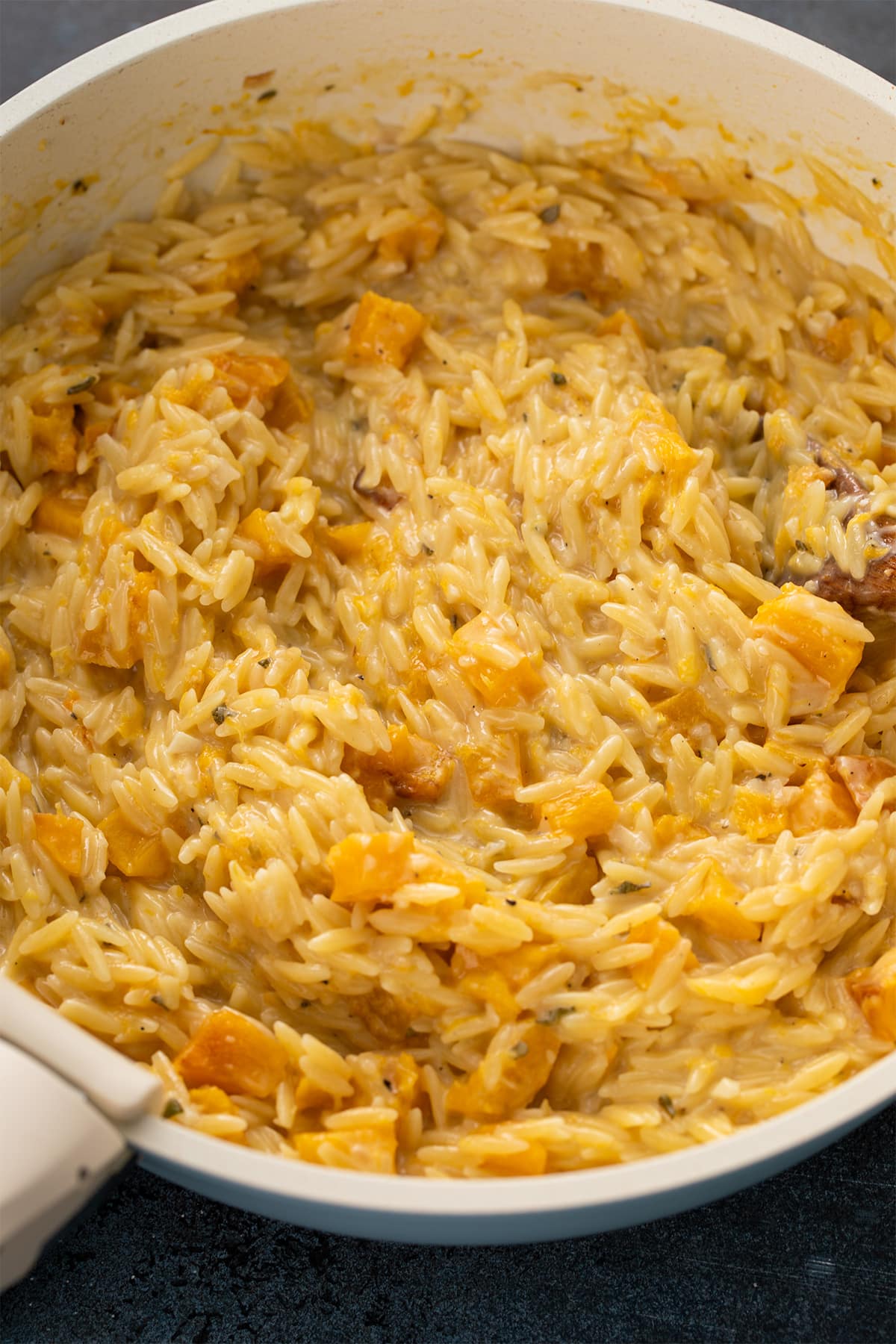 Creamy butternut squash orzo with tender roasted squash just before serving.