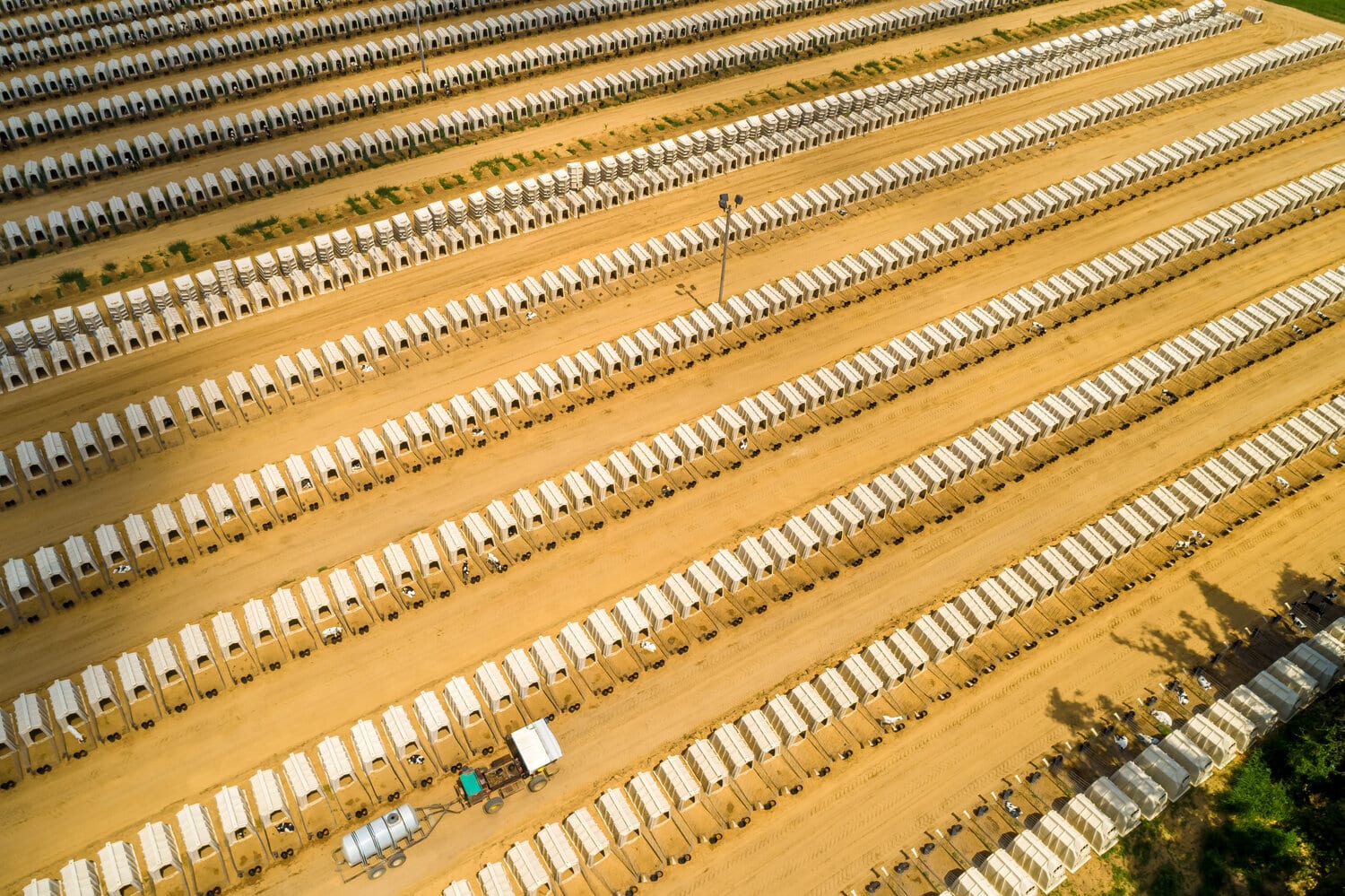 Aerial view of long rows of white calf hutches on a dairy farm.