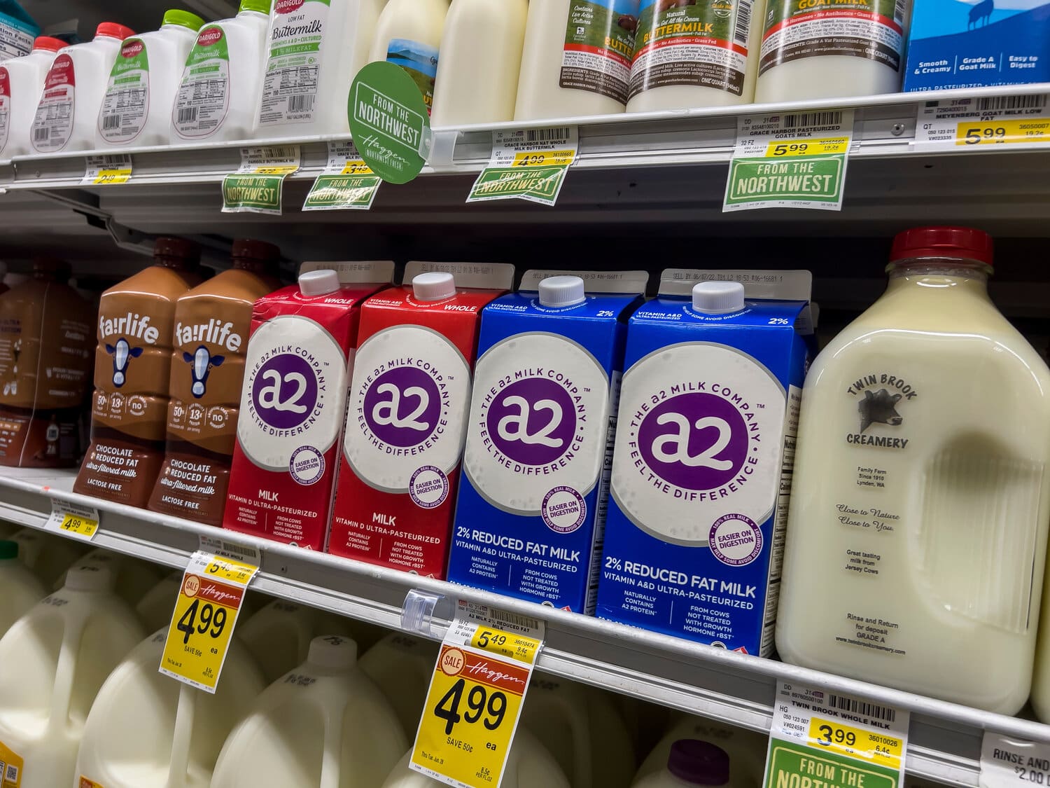 Cartons and jugs of milk on a refrigerated grocery store shelf.