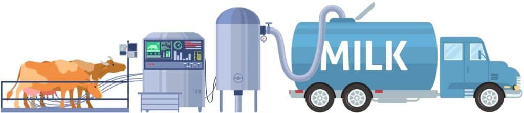 Illustration of cows being milked, with the milk going to a tanker truck.